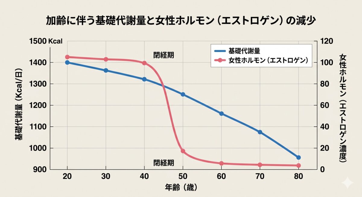 年齢とともに変化する体調や生活リズムのイメージ