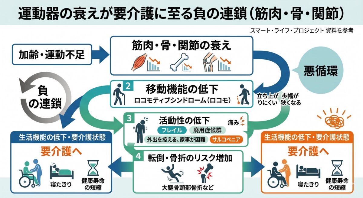 骨や関節、筋肉などの運動器と移動機能低下の関係